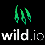 Wild Casino IE Logo